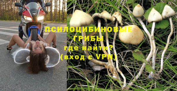 ALPHA-PVP Алексин