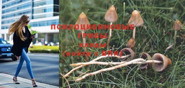 мескалин Алексеевка