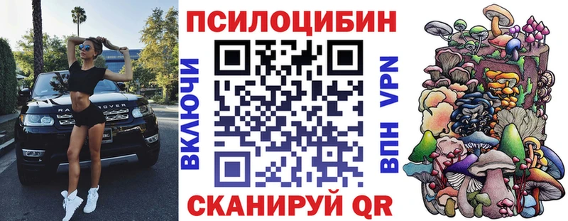 Купить где Ирбит Галлюциногенные грибы Magic Shrooms